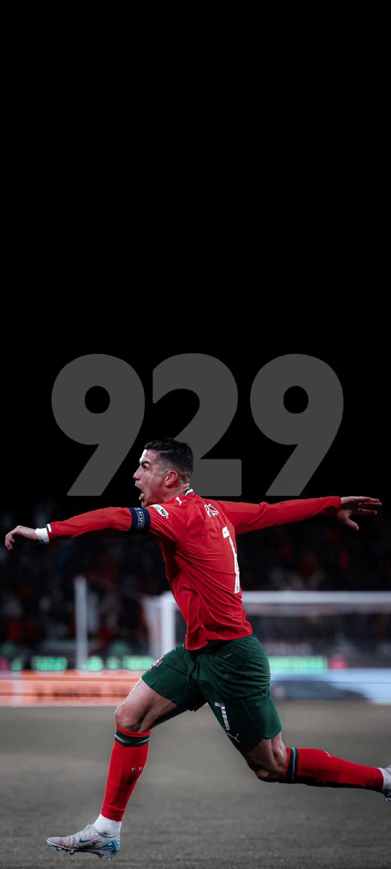 日本职棒校园棒球体系