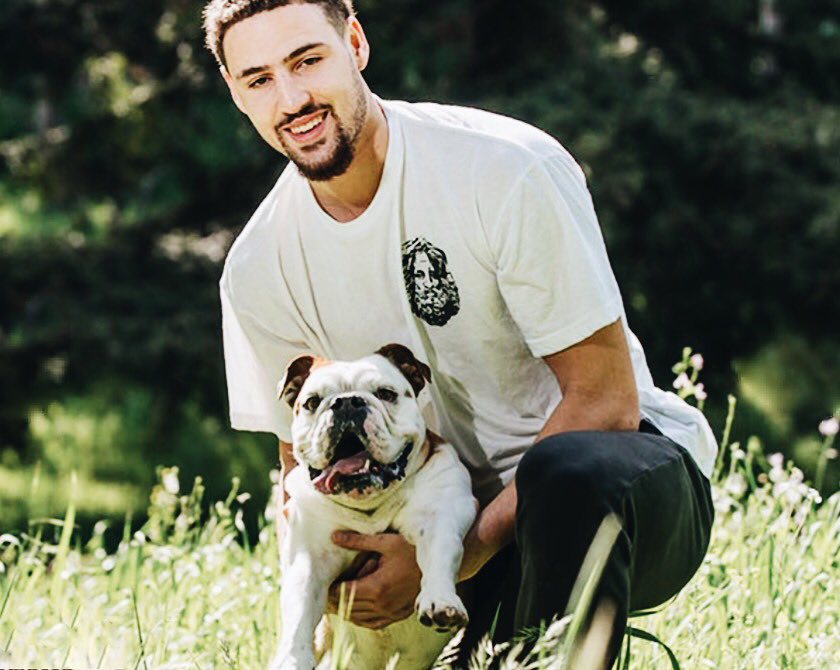 布朗尼预判了勒布朗的动作